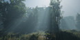 Screenshot #7