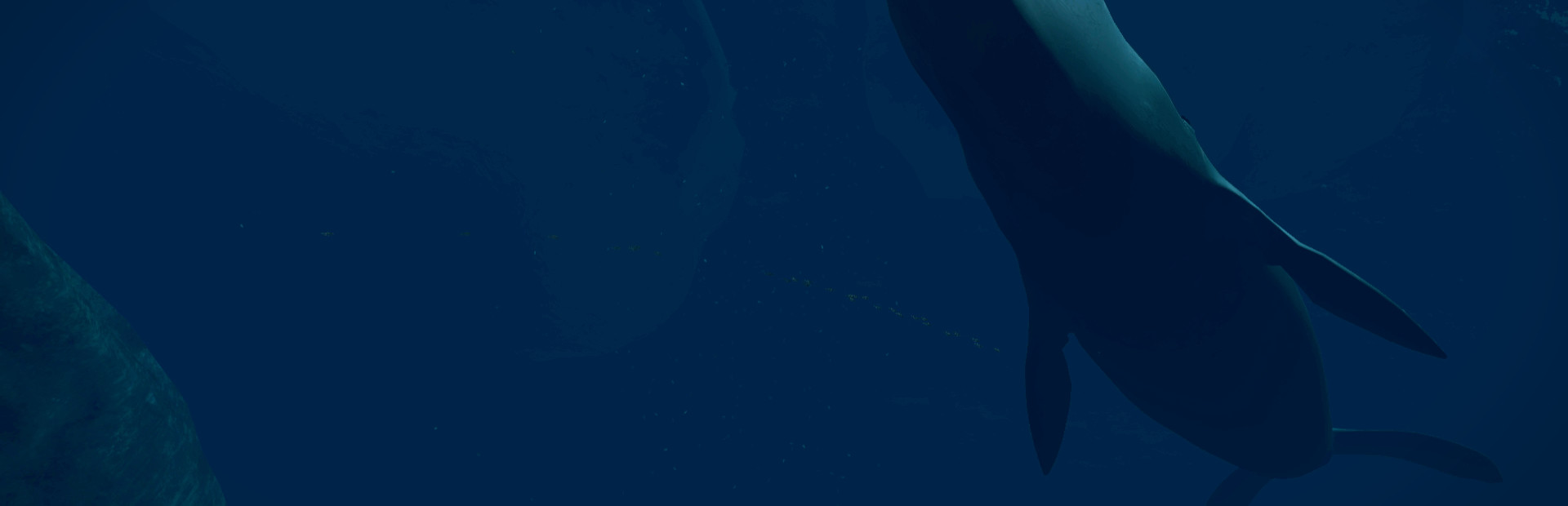 Virtual Arctic Expedition