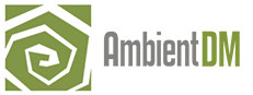 Ambient DM