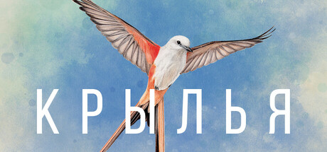 Обложка WINGSPAN (КРЫЛЬЯ)