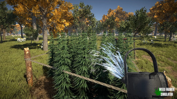 Screenshot z Weed Farmer Simulator Screenshot z Weed Farmer Simulator