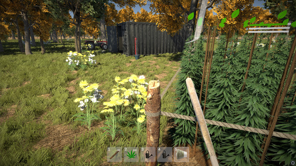 Screenshot z Weed Farmer Simulator Screenshot z Weed Farmer Simulator