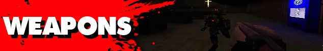 L.S.S II video 4