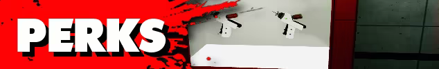 L.S.S II video 2