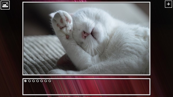 Super Jigsaw Puzzle: Generations - Kittens Puzzles