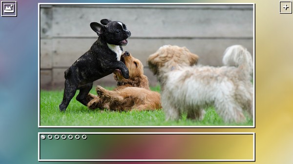 Super Jigsaw Puzzle: Generations - Puppies Puzzles