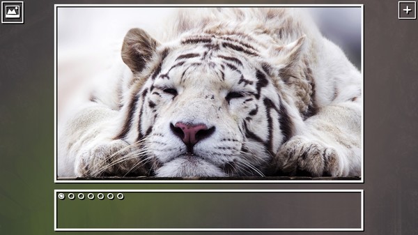 Super Jigsaw Puzzle: Generations - Big Cats Puzzles