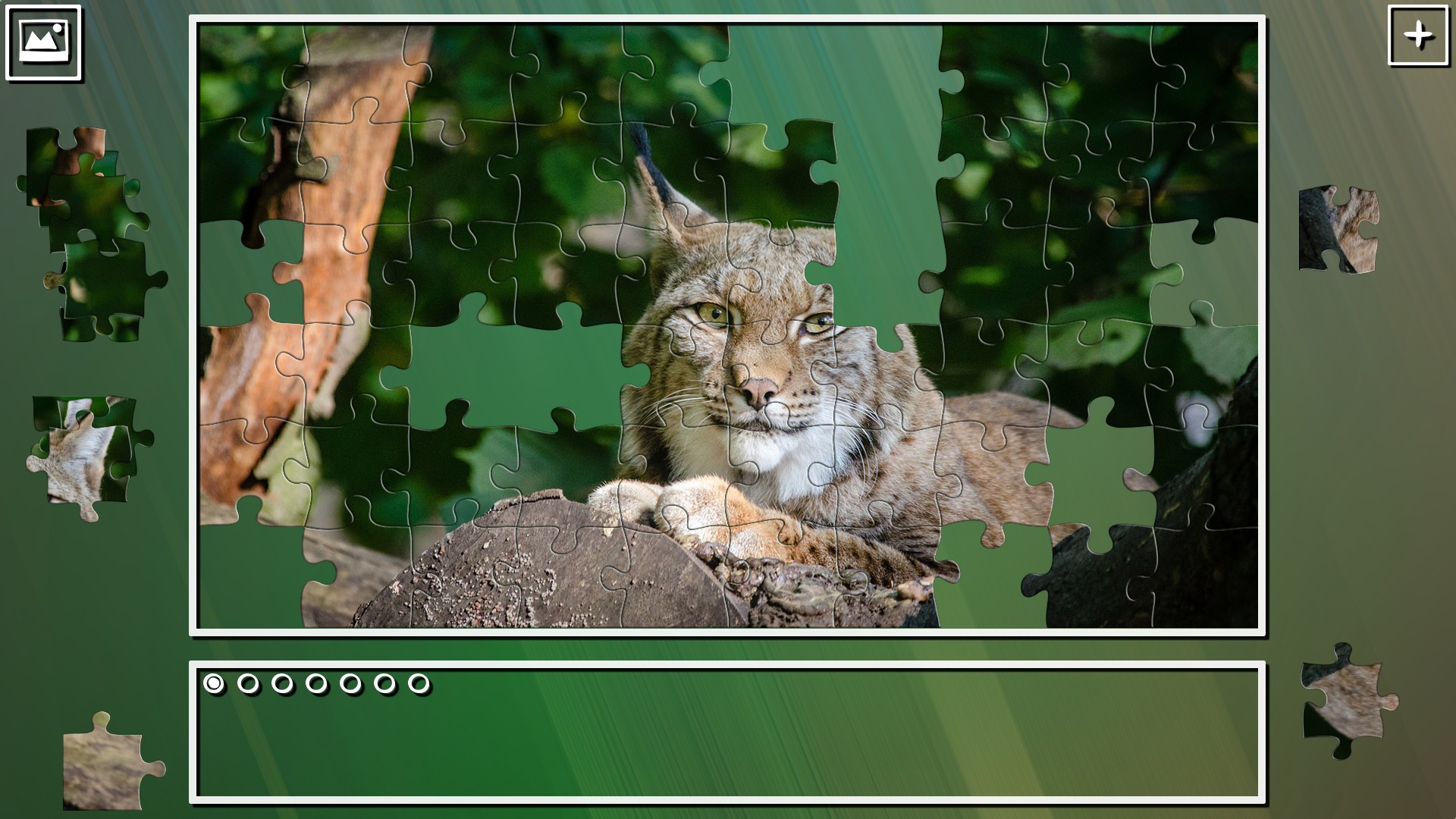 Super Jigsaw Puzzle: Generations - Big Cats Puzzles Featured Screenshot #1