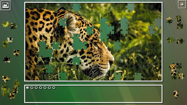 Super Jigsaw Puzzle: Generations - Big Cats Puzzles