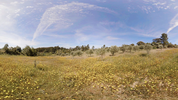 Portugal | Sphaeres VR Experience | 360° Video | 6K/2D screenshot 5