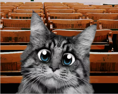 Super Web Kittens: Act I video 4