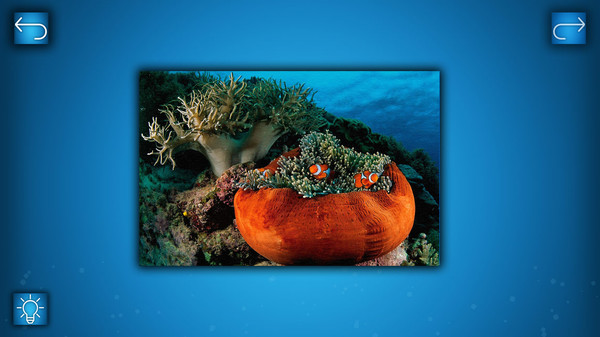 PUZZLE: OCEAN screenshot 3