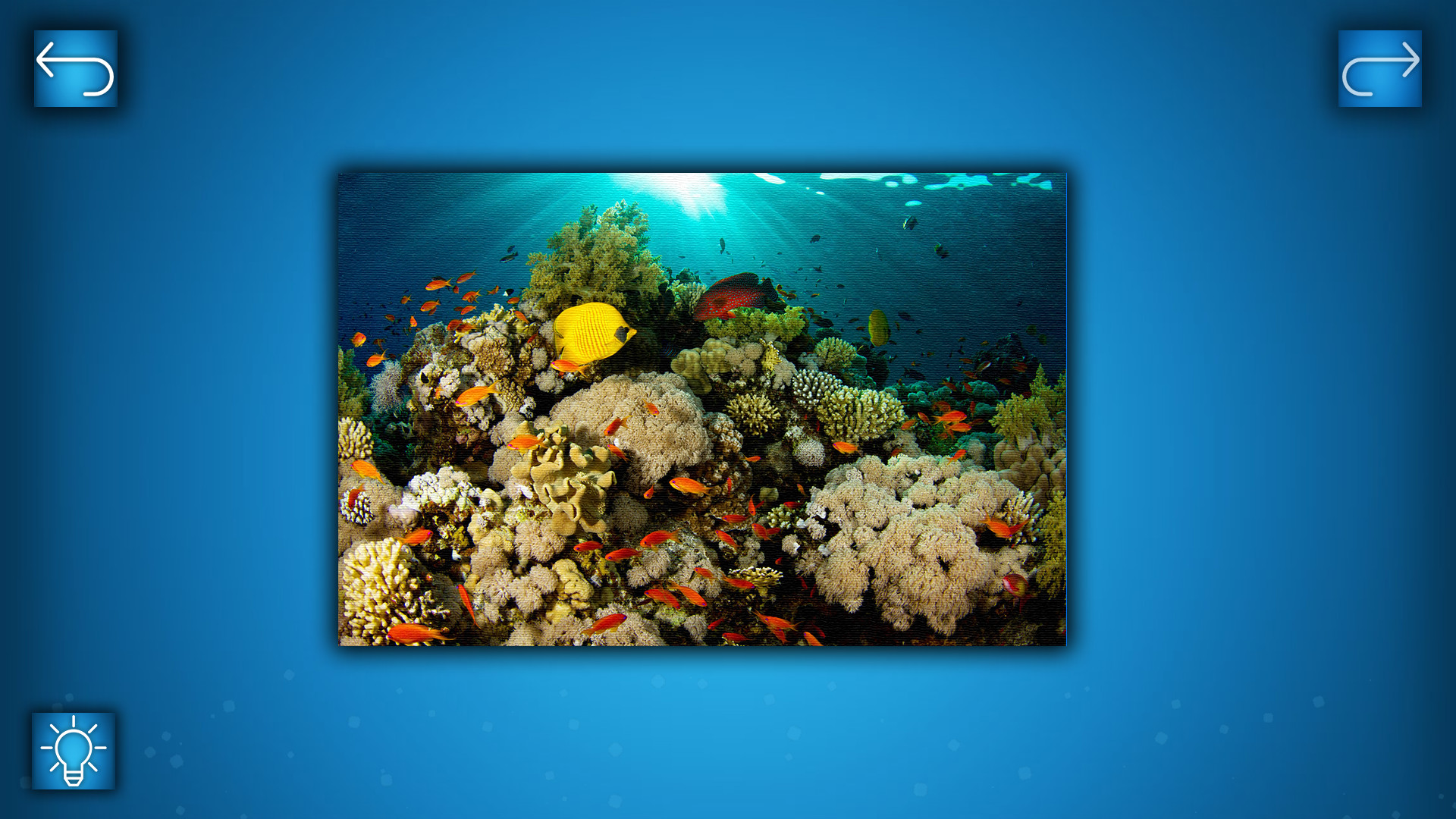 PUZZLE: OCEAN Featured Screenshot #1