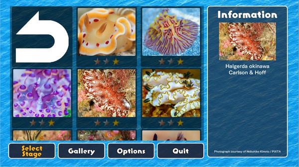 Jigsaw Masterpieces : Sea Slugs - Gems of the Sea -