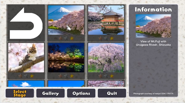 Jigsaw Masterpieces : Sakura - Japanese Cherry Blossoms -