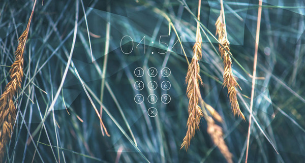 RainLock screenshot 1