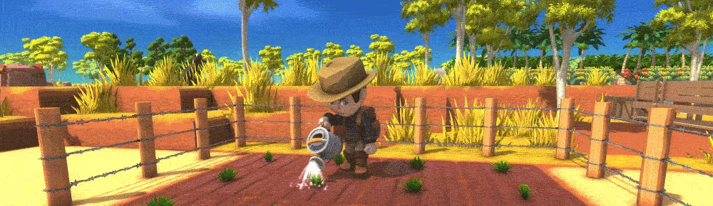 Dinkum video 2
