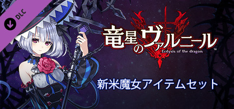 Dragon Star Varnir Newbie Witch Item Setの作品画像