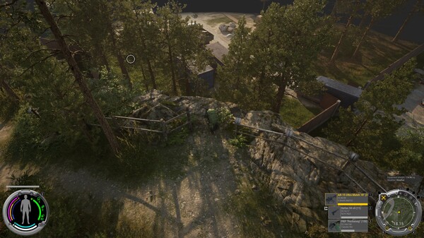 Pathogenesis: Overcome.