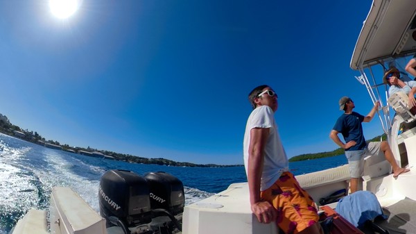 Swimming with Humpbacks screenshot 4