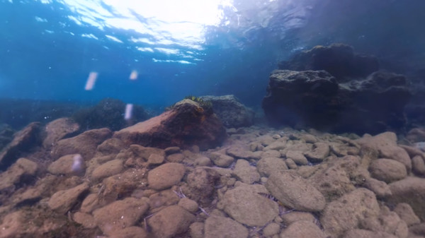 The Crystal Reef screenshot 3