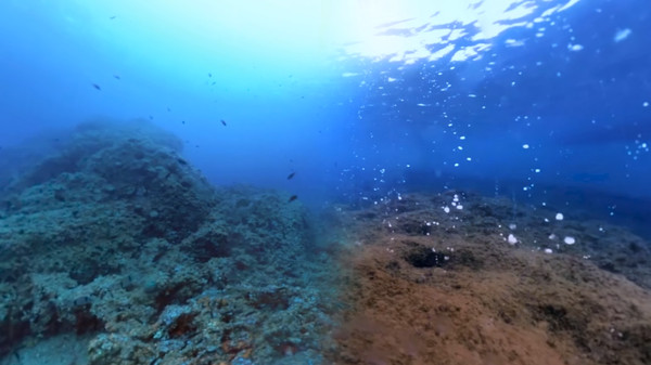 The Crystal Reef screenshot 5