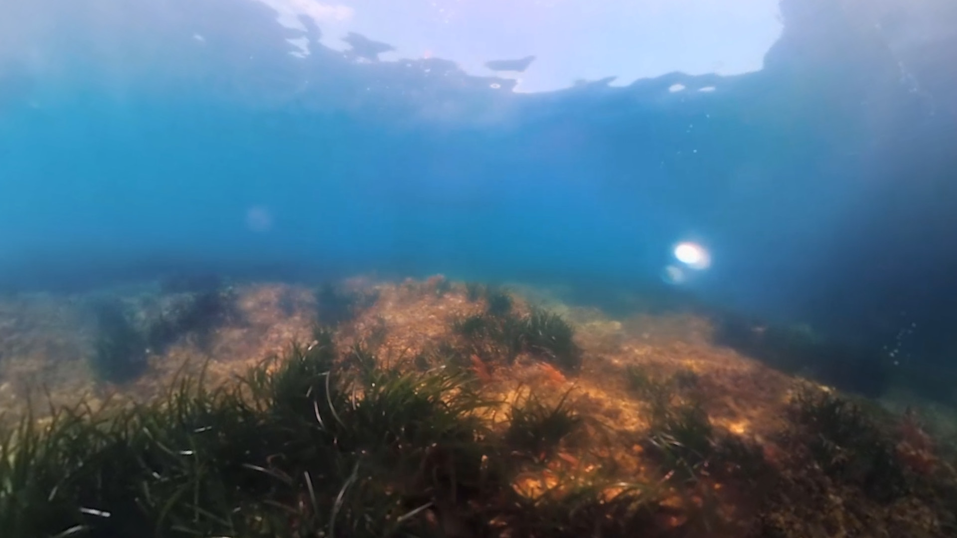 The Crystal Reef Featured Screenshot #1