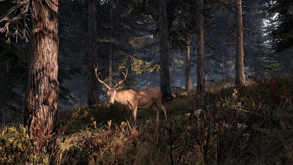 This Land Is My Land.