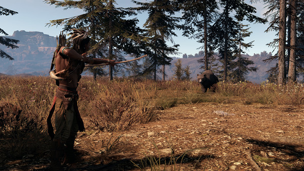 Screenshot z This Land Is My Land