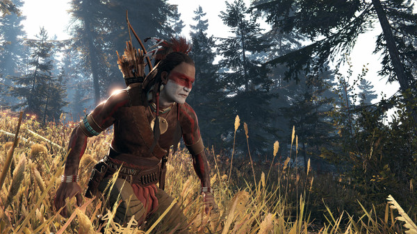 Screenshot z This Land Is My Land