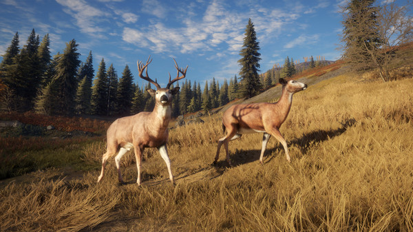 theHunter: Call of the Wild™ - TruRACS