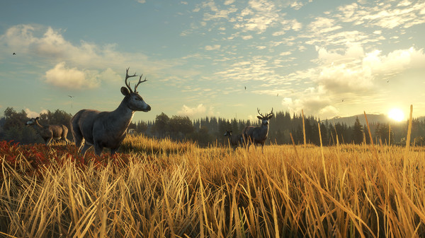 theHunter: Call of the Wild™ - TruRACS