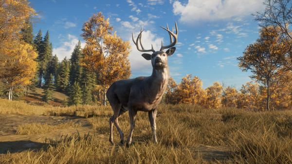 theHunter: Call of the Wild™ - TruRACS