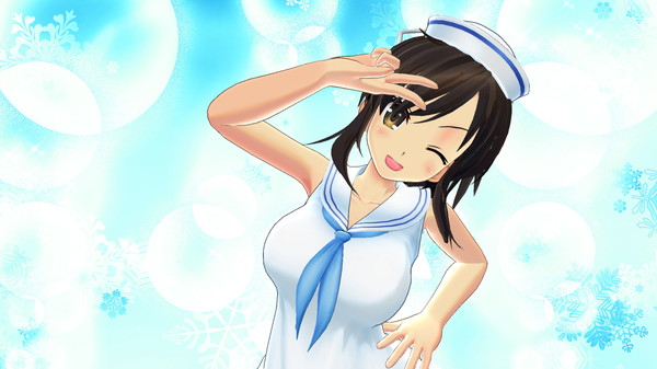SENRAN KAGURA Reflexions - New Outfit Set