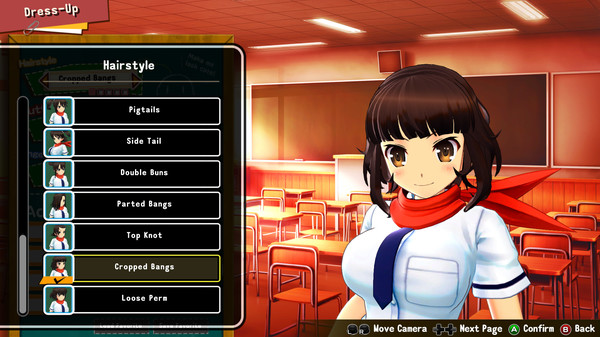 SENRAN KAGURA Reflexions - Hairstyle Set