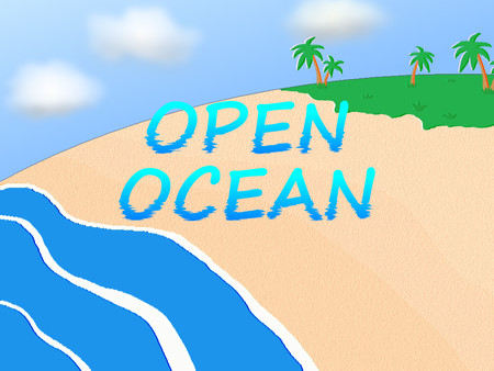 Open Ocean screenshot 1