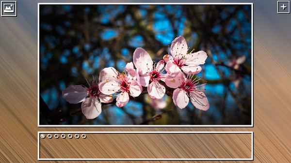 Super Jigsaw Puzzle: Generations - Spring Puzzles