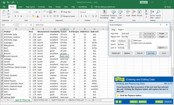 Professor Teaches Excel 2019 screenshot 5