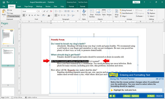 Professor Teaches Publisher 2019 screenshot 3