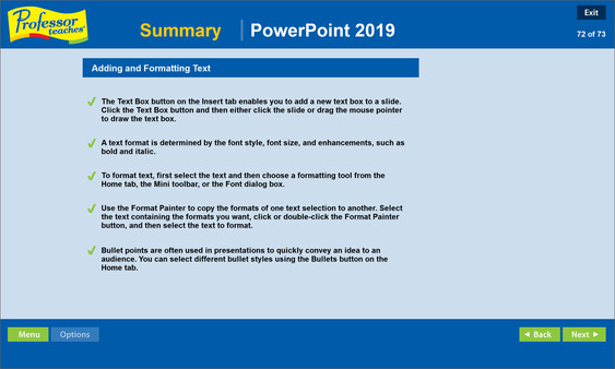 Professor Teaches PowerPoint 2019 screenshot 2