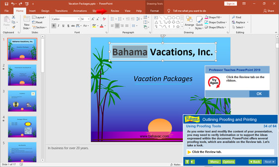 Professor Teaches PowerPoint 2019 screenshot 5