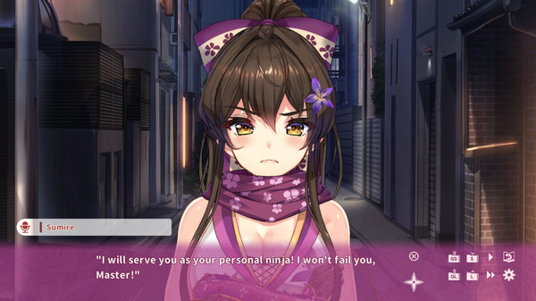 NinNinDays screenshot 4