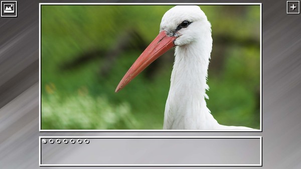 Super Jigsaw Puzzle: Generations - Birds Puzzles