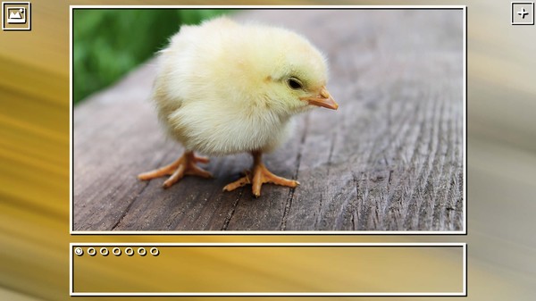 Super Jigsaw Puzzle: Generations - Birds Puzzles