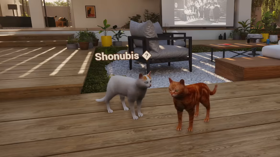 Whiskers of Yesterday video 5