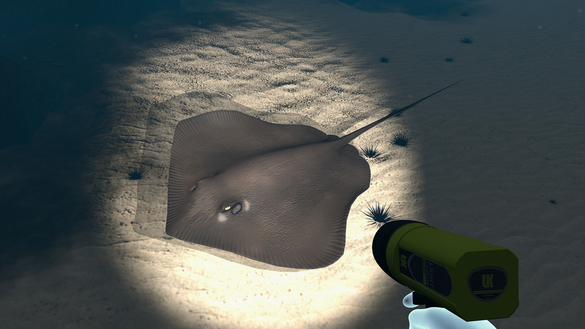 #10. Dive with Sylvia VR (Steam) بواسطة: Cascade Game Foundry SPC