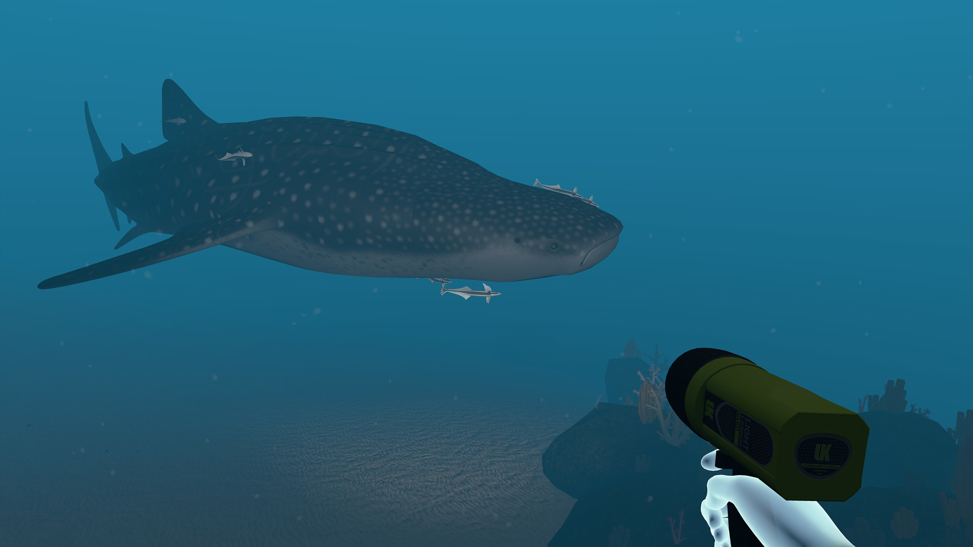 #6. Dive with Sylvia VR (Steam) بواسطة: Cascade Game Foundry SPC