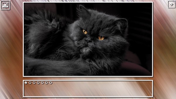 Super Jigsaw Puzzle: Generations - Cats Puzzles
