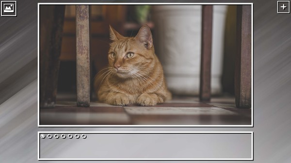 Super Jigsaw Puzzle: Generations - Cats Puzzles
