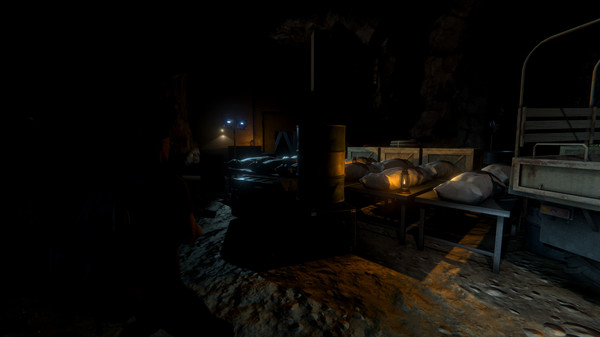 Screenshot z Outbreak: Epidemic